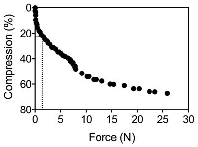 Plant Stress-Tolerance Traits Predict Salt Marsh Vegetation Patterning